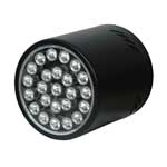 Downlight LED globe lamp